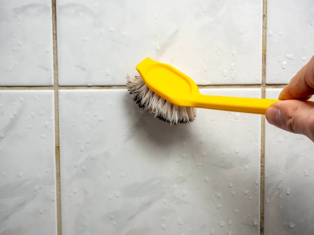 Best Professional Mold Removal  in Asbury Park, NJ