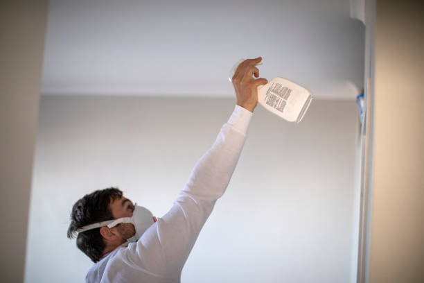 Best Mold Damage Repair  in Asbury Park, NJ