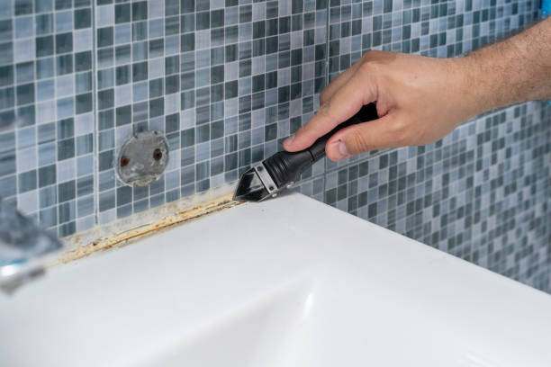 Best Mold Removal Company Near Me  in Asbury Park, NJ