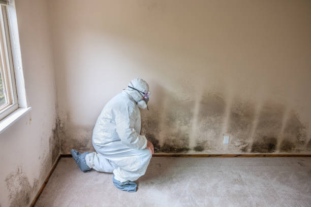Best Crawl Space Mold Removal  in Asbury Park, NJ